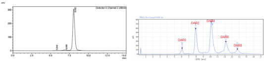 Her2 x Trop2雙抗的純度(SEC-HPLC)和偶聯後DAR分布(HIC-HPLC)